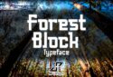 Forest Block font